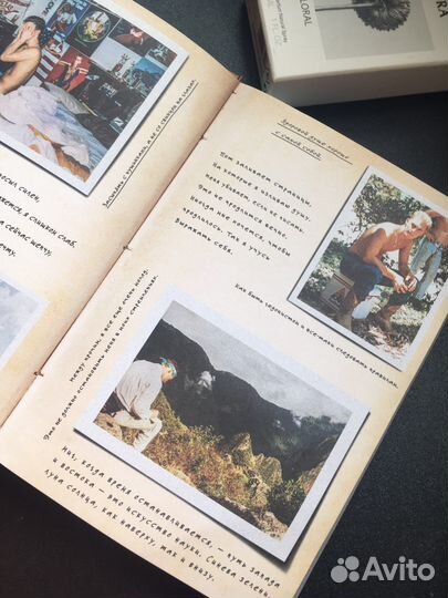 Зеленый свет макконахи