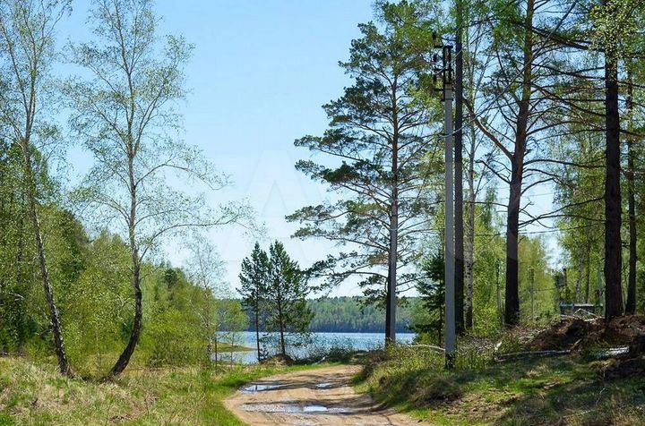 Участок 11,9 сот. (СНТ, ДНП)