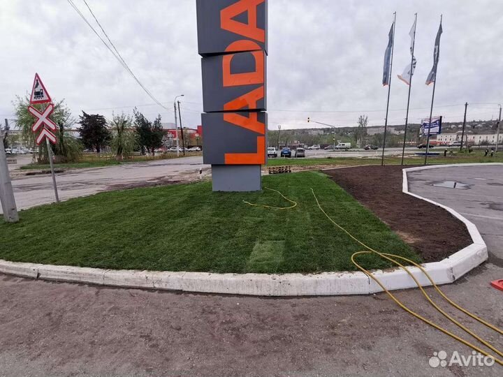 Рулонный газон с укладкой