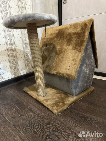 Кошачий домик