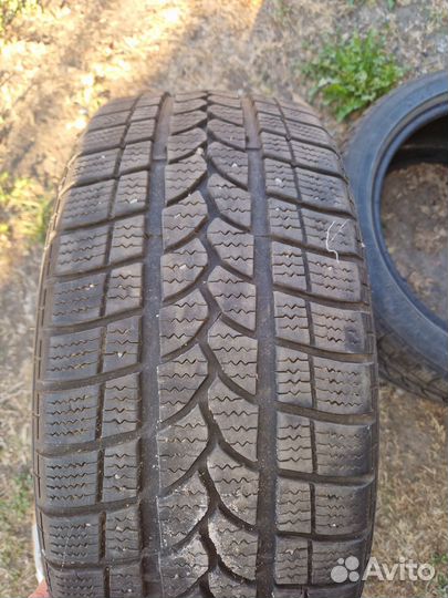 Tigar Winter 1 225/45 R17 H