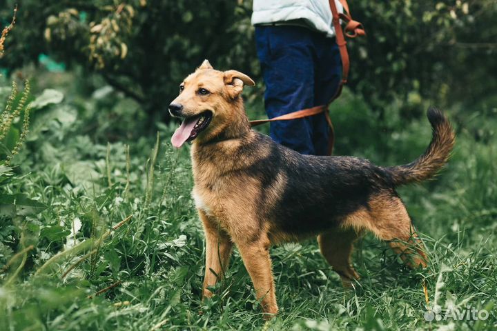 Молодой Жорж проводит детство в приюте