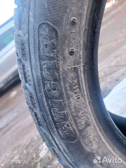 Tigar Ice 205/55 R16