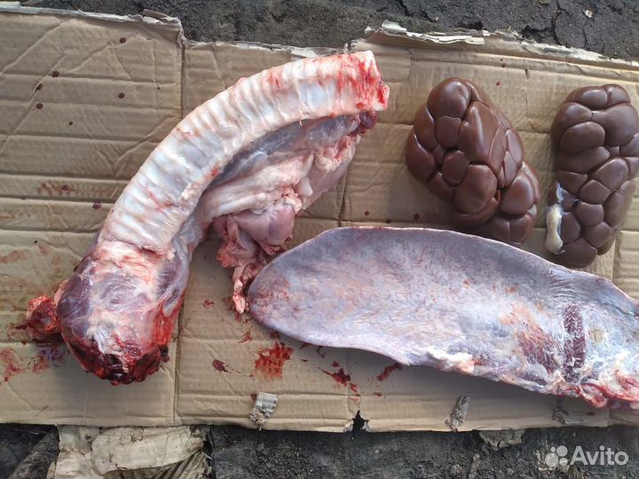 Корм для собак