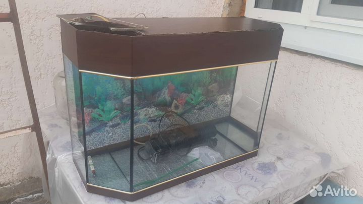 Аквариум