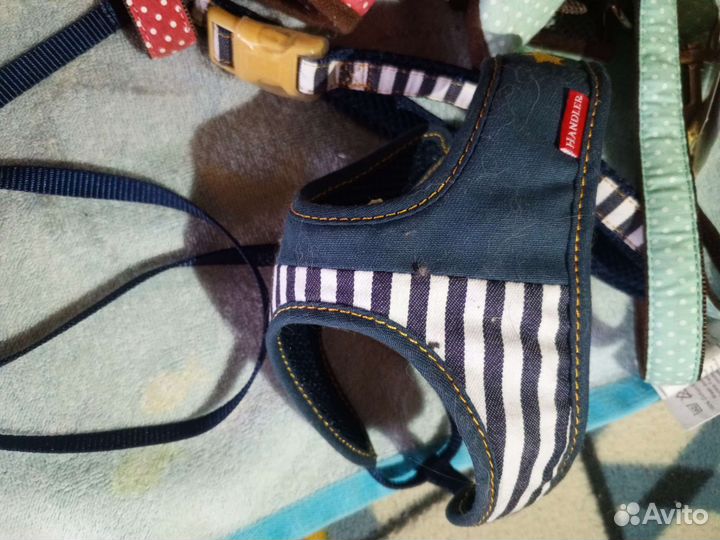 Аксессуары для собак и кошек