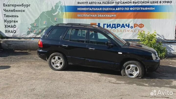 Обшивка двери багажника на заднюю панель Hyundai S