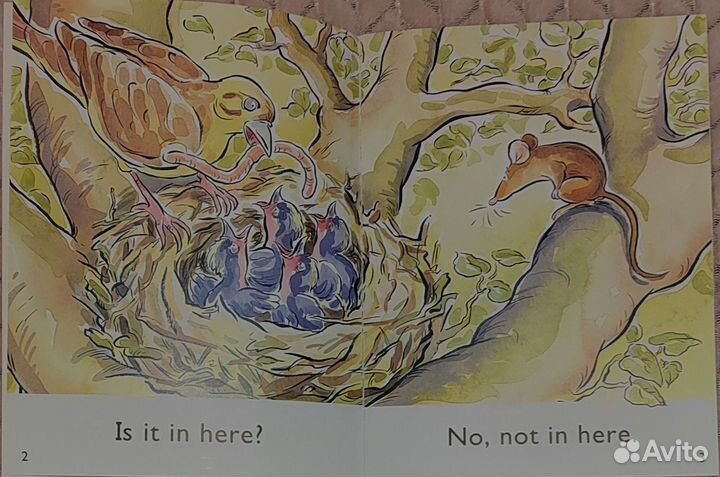 Книжка для чтения на английском языке для малышей