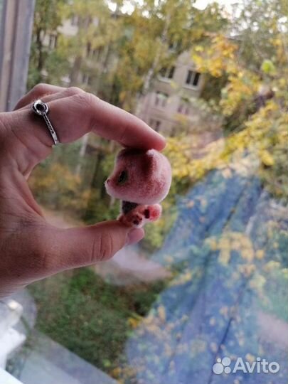 Кошечка Sweet Box