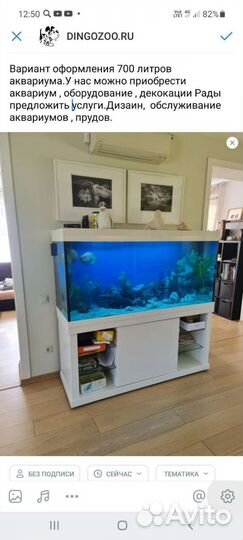 Оформление аквариума и террариума