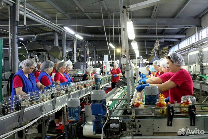 Овощевод/Консервный завод/Проживание