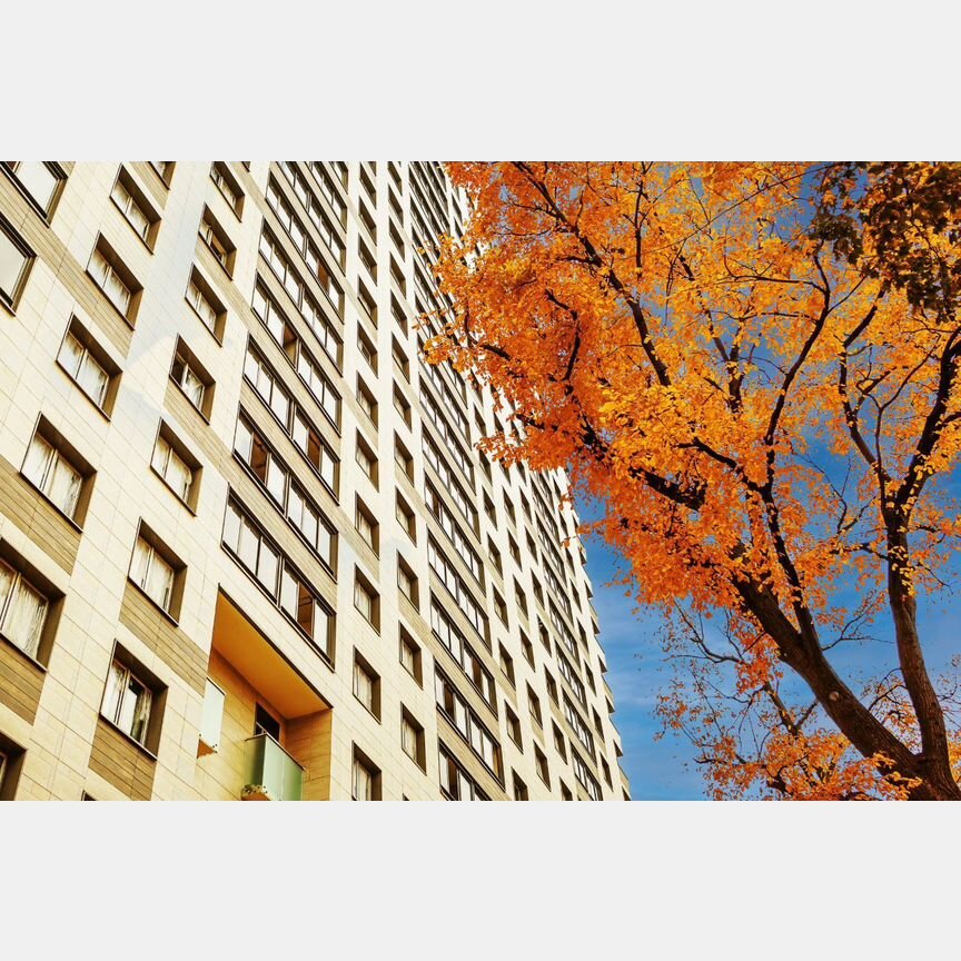 2-к. квартира, 41,1 м², 2/22 эт.