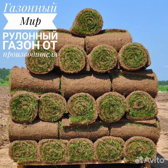 Рулонный газон