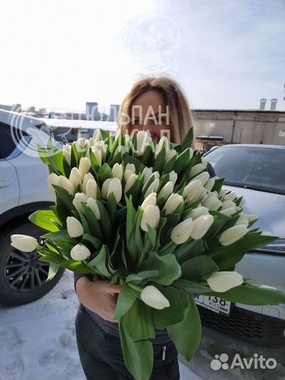 Королевские тюльпаны