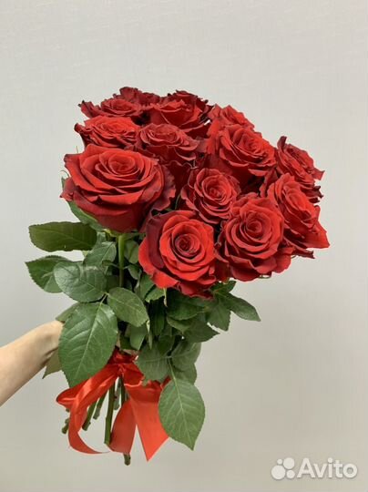 Розы эквадорские уфа