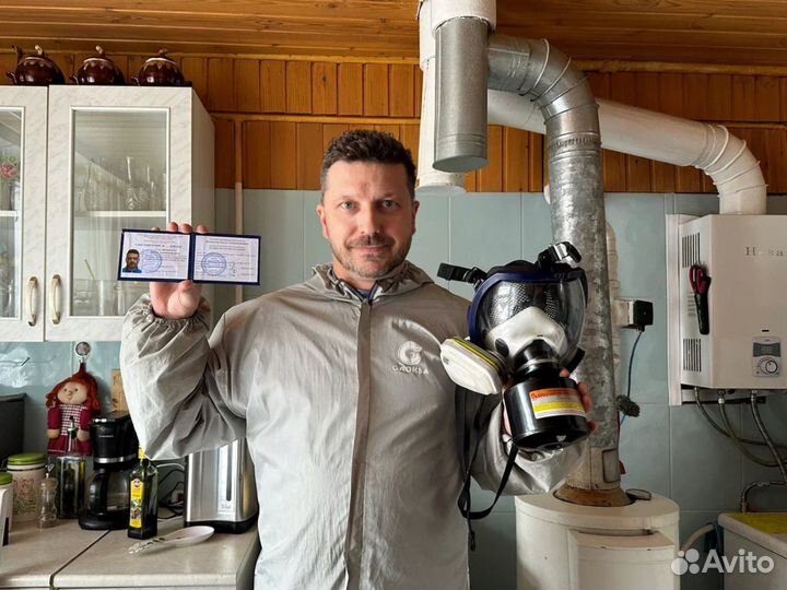 Уничтожение тараканов дезинфекция клопов