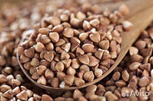 Гречка в мешках 25 кг