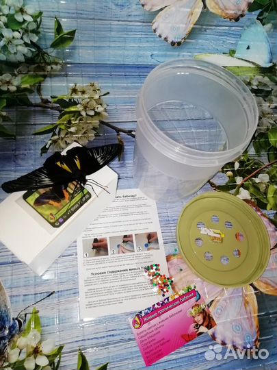 Фермы с Бабочками: Вдохновение для Малышей