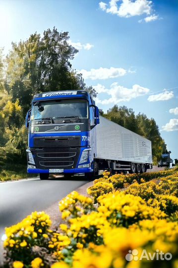 Водитель категории е / рефы, шторы, термос