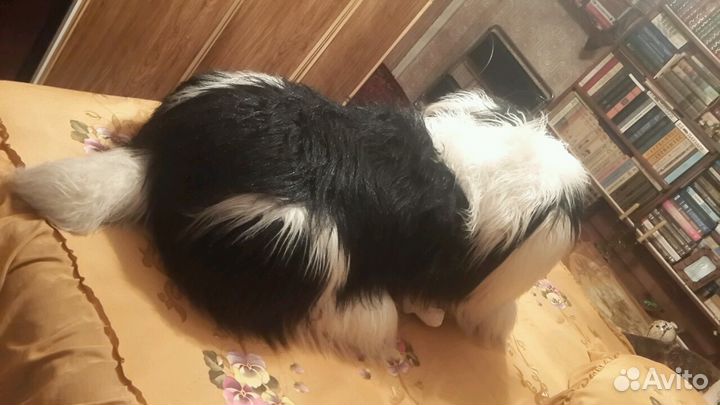 Мягкая игрушка