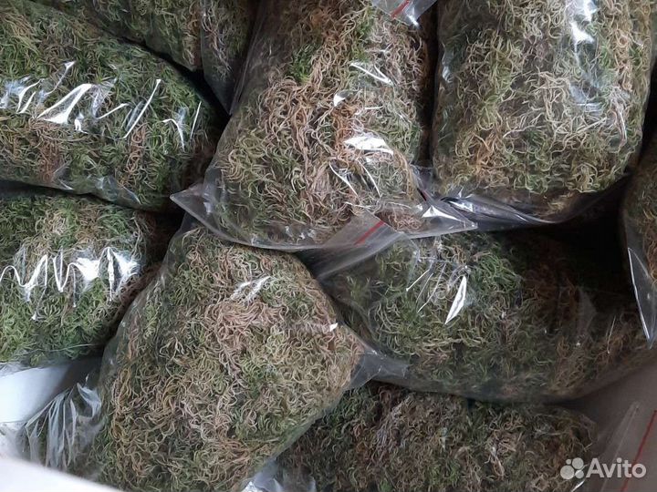 Пакеты сухого сфагнума