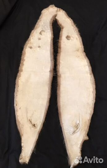 Шкурка Выдра Дальневосточная воротники