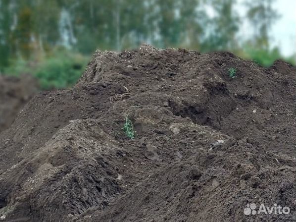 Доставка земли