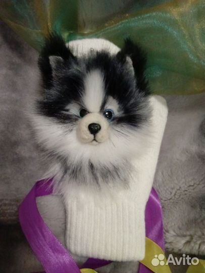 Звероварежки.Хасики