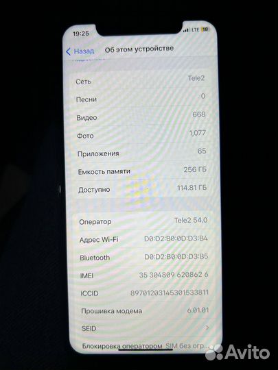 iPhone X, 256 ГБ