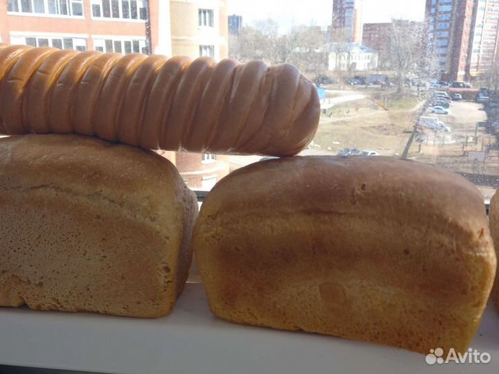 Хлеб на корм животным