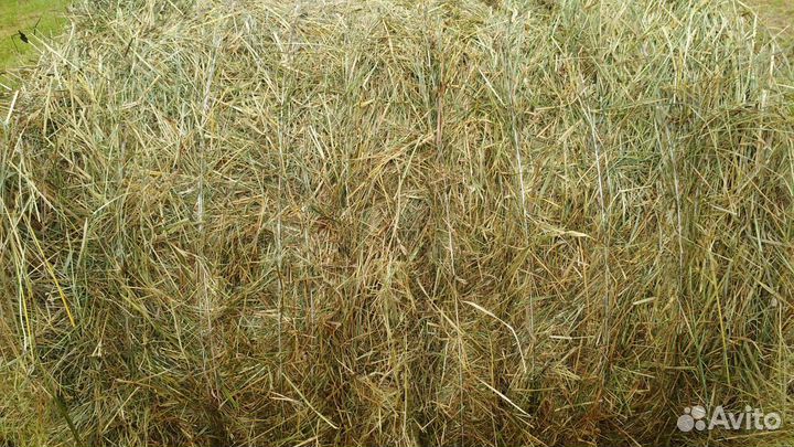 Сено (рулоны)