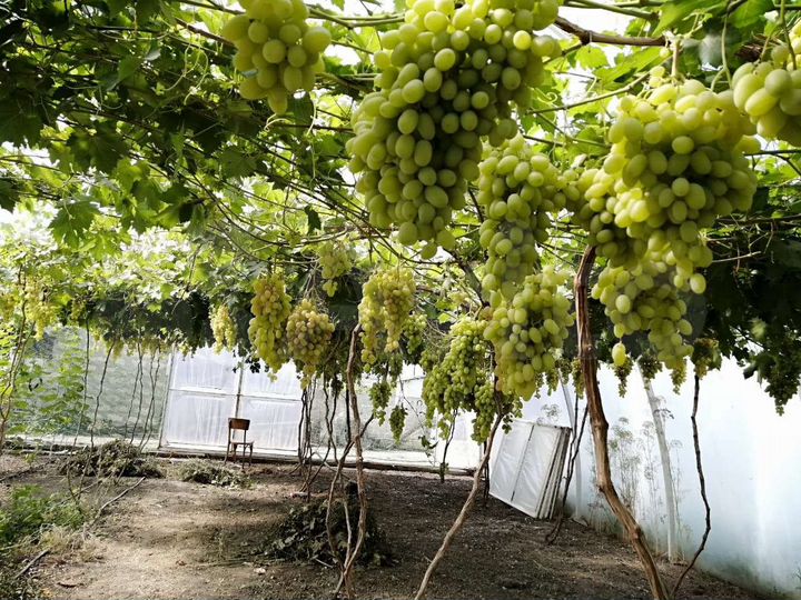 Участок 25 сот. (ИЖС)