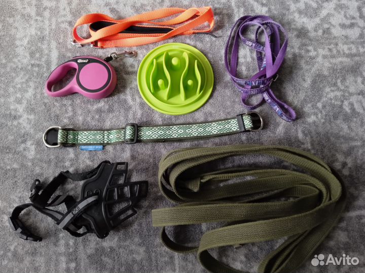 Амуниция и одежда для собак