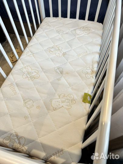 Матрас Plitex EcoLife 119х60х12