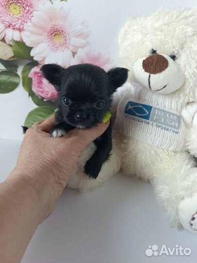 Малыш Космос