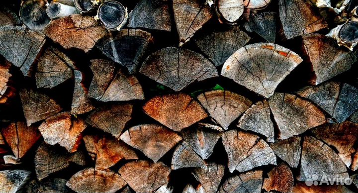 Дрова в день заказа