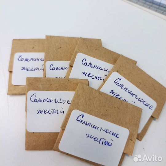 Сальпиглосис