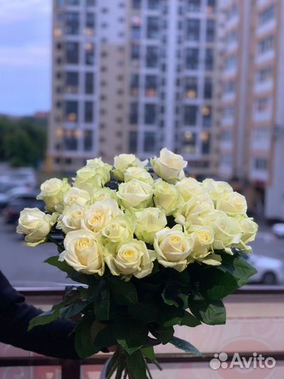 25 роз
