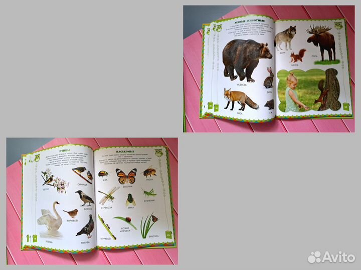 Комплект детских книг.Школа маленьких гениев