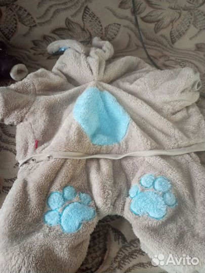 Зимняя одежда для собак