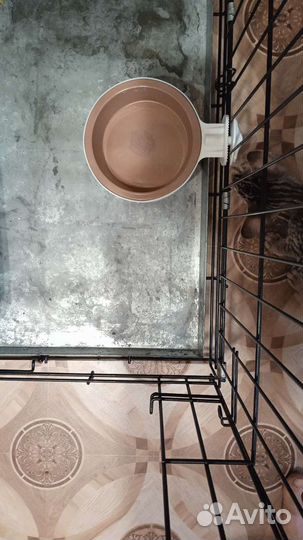 Миска с креплением