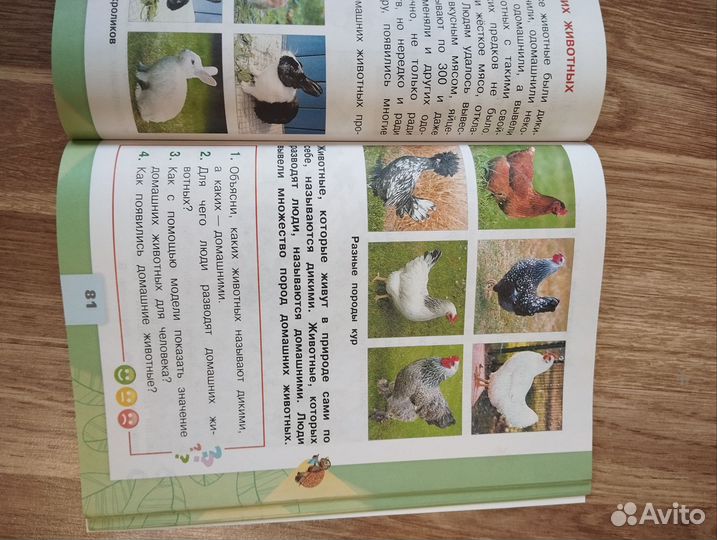 Учебник Окружающий мир 2 класс 1часть