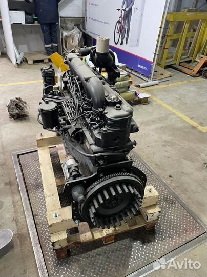 Двигатель Д260 (новый)