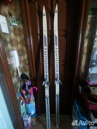 Лыжи беговые