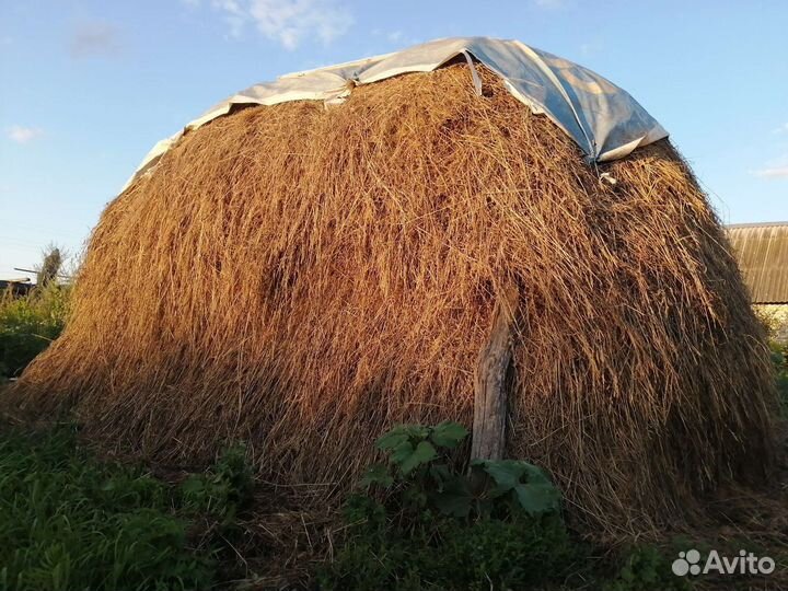 Продам сено лесное