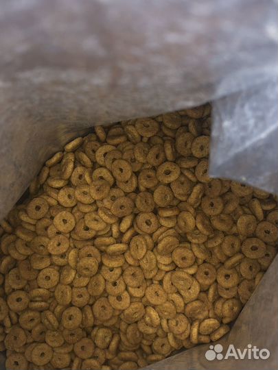 Корм для кошек royal canin 1.5 кг