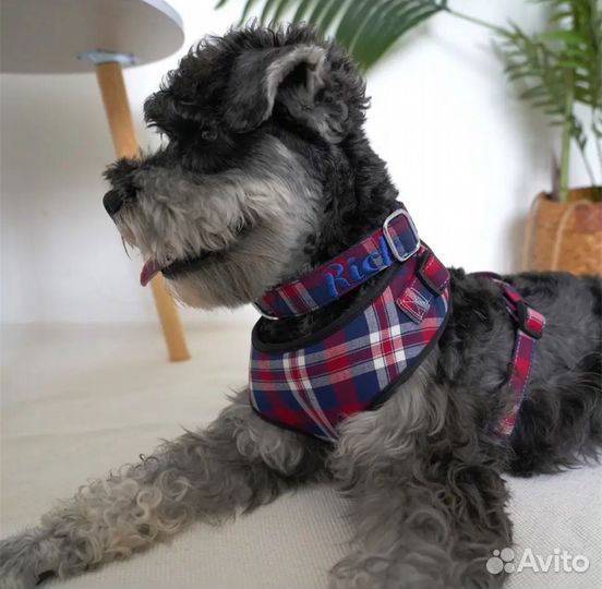 Амуниция для собак с вышивкой и гравировкой шлейка