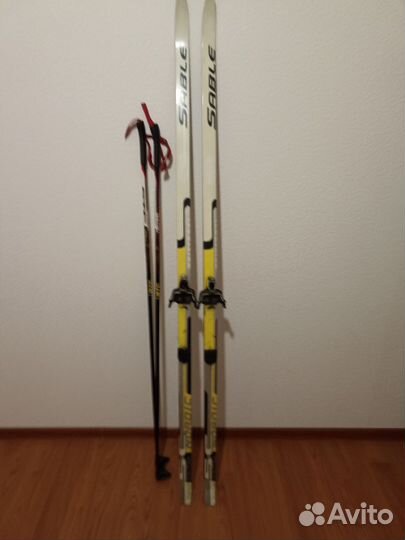Беговые лыжи Sable