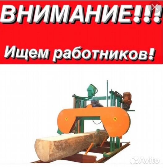 Разнорабочие на ленточную пилораму