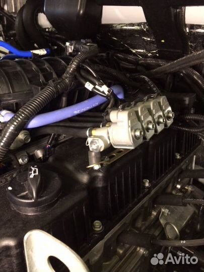 Гбо все включено